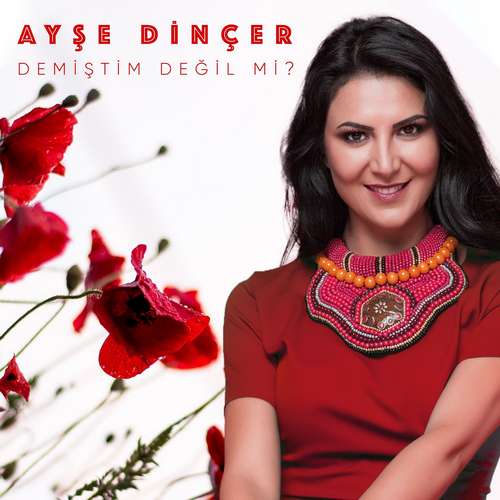 Ayşe Dinçer - Demiştim Değil Mi Full (Albüm) 2020 