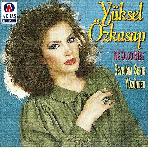 Yüksel Özkasap Diskografi - Tüm Albümleri (İNDİR) Yüksel Özkasap Full Albümleri indir