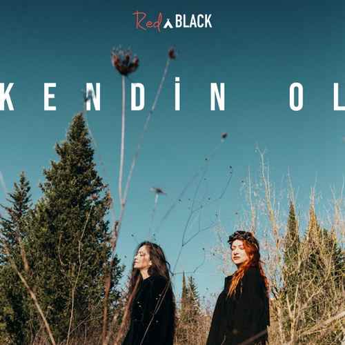 RednBlack - Kendin Ol (2020) Single