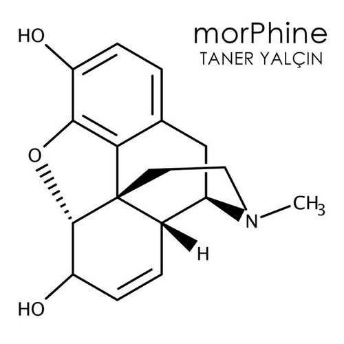 Taner Yalçın - Morphine (2020) Single indir 