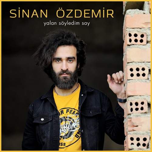 Sinan Özdemir - Yalan Söyledim Say (2020) Single indir