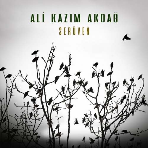 Ali Kazım Akdağ Yeni Serüven Full Albüm indir
