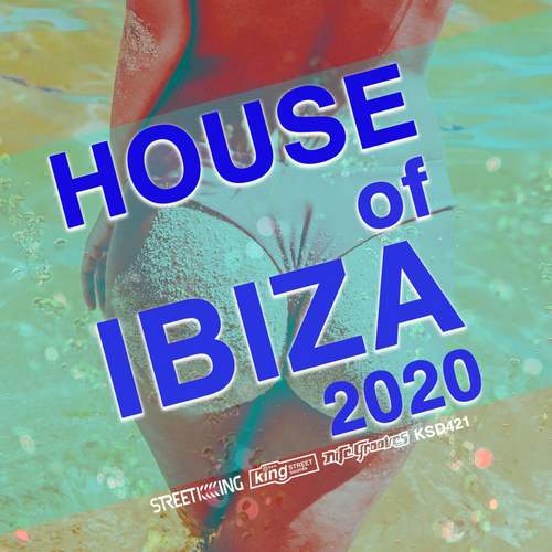Various Artists Yeni House Of Ibiza (2020) Full Albüm indir