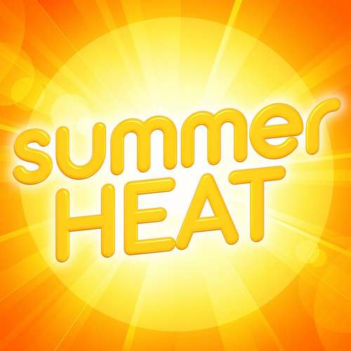 Çeşitli Sanatçılar Yeni Summer Heat Full Albüm indir