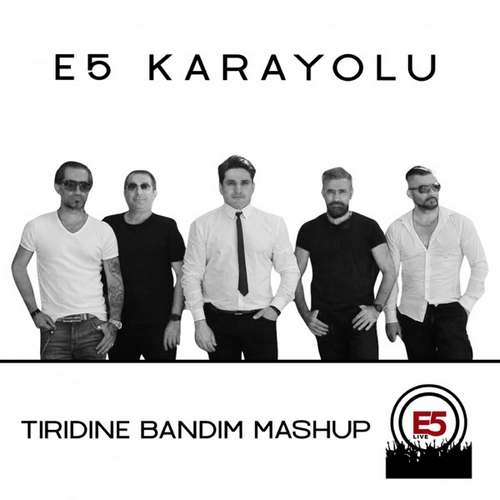 E5 Karayolu Yeni Tiridine Bandım _ Kesik Çayır _ Sallan Boyuna Bakayım (Mashup) Şarkısını indir