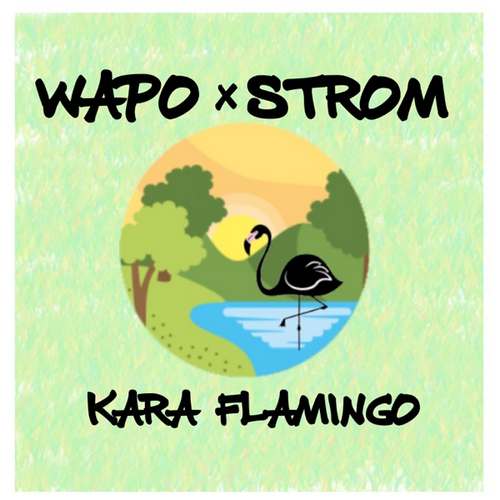 Wapo & Strom Yeni Kara Flamingo Şarkısını indir
