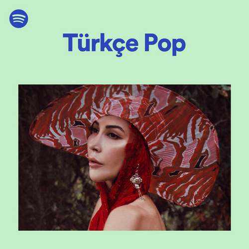 Çeşitli Sanatçılar Yeni Türkçe Pop 02.10.2020 Full Albüm indir