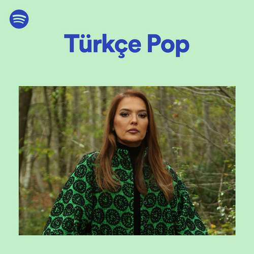 Çeşitli Sanatçılar Yeni Türkçe Pop Müzik Spotify (4.12.2020) Full Albüm indir