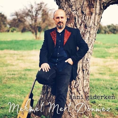 Mehmet Mert Dönmez Yeni Hani Giderken Şarkısını indir