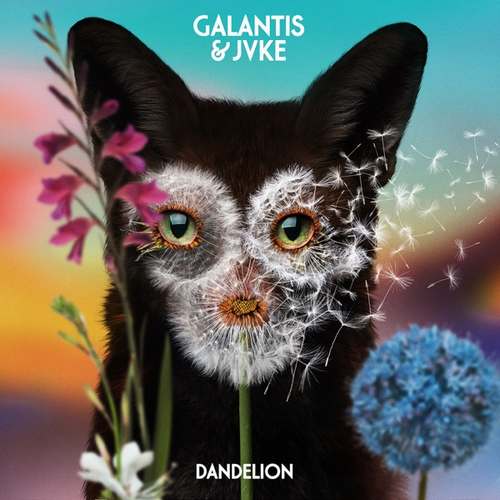 Galantis & JVKE Yeni Dandelion Şarkısını indir