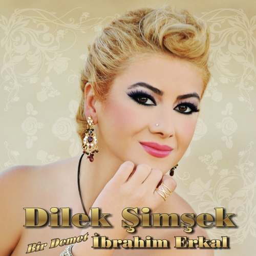 lek Şimşek - Bir Demet İbrahim Erkal (feat. Ibrahim Erkal) Full Albüm indir