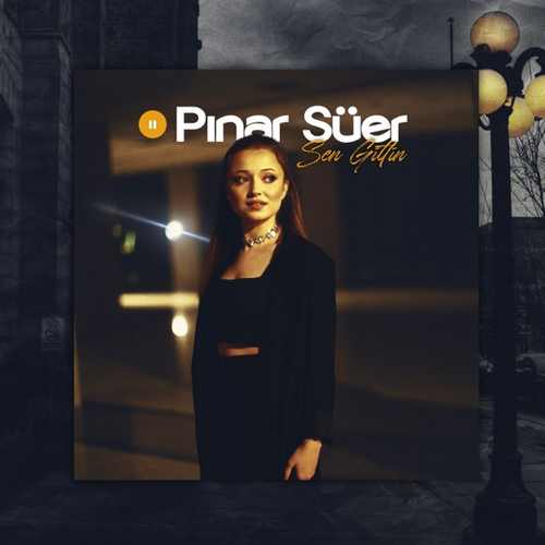 Pınar Süer Yeni Sen Gittin Şarkısını indir
