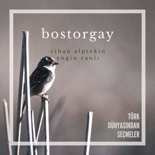 Engin Canlı, Cihan Alptekin - Bostorgay (2021) (EP) Albüm indir