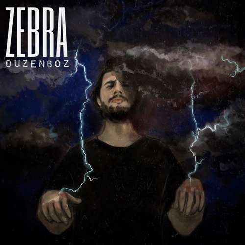 Zebra Yeni Düzenboz Şarkısını İndir
