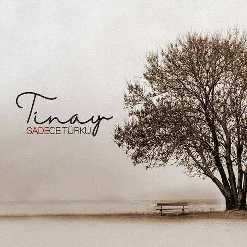 Tinay Yeni Sadece Türkü (Akustik) Full Albüm indir