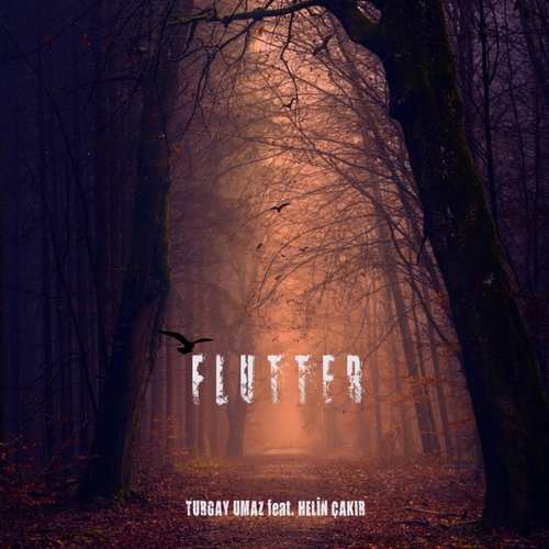 Turgay Umaz & Helin Çakır Yeni Flutter Şarkısını indir