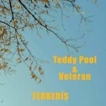 teddy pool & Veteran – Terkediş (2021) Single indir