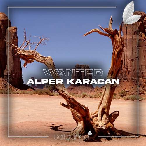 Alper Karacan Yeni Wanted Şarkısını indir