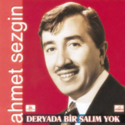 Ahmet Sezgin Full Albümleri indir