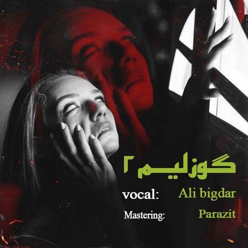 Ali Bigdark Yeni Güzelim 2 Şarkısını indir