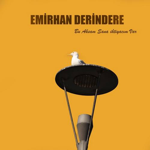 Emirhan Derindere - Bu Akşam Sana İhtiyacım Var (2021) (EP) Albüm indir