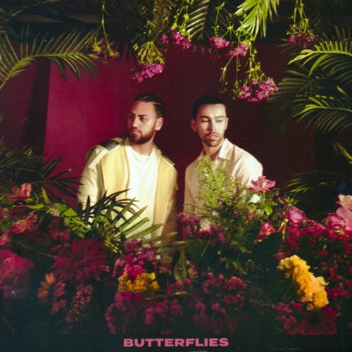 MAX & Ali Gatie Yeni Butterflies Şarkısını indir