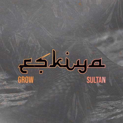 Grow & Sultan Yeni Eşkiya Şarkısını indir
