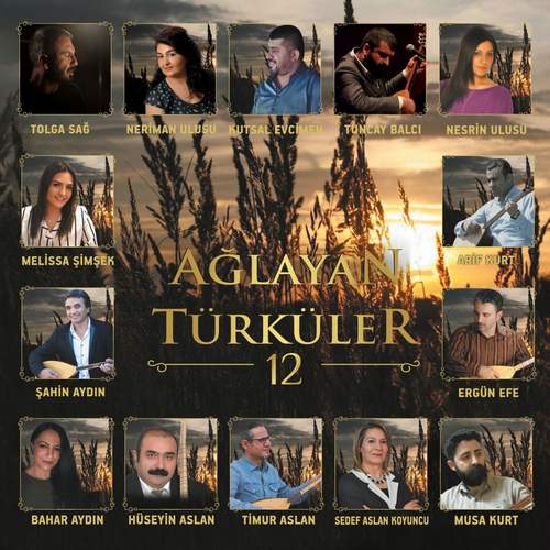 Çeşitli Sanatçılar - Ağlayan Türküler Vol. 12 Full Albüm İndir