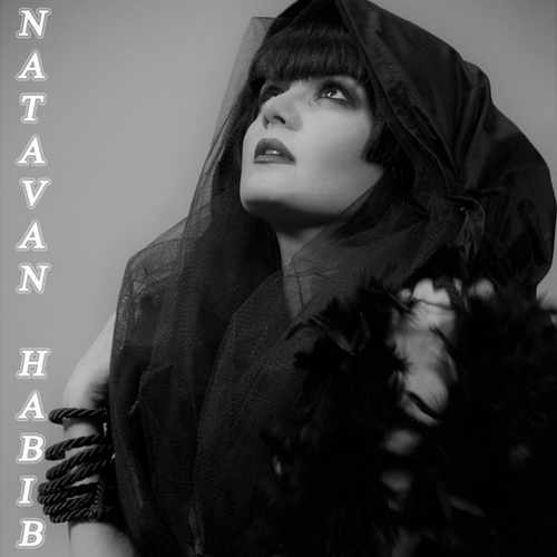 Natavan Habibi Yeni Ulduzlar (Slow Version) [Slow Version] Şarkısını indir