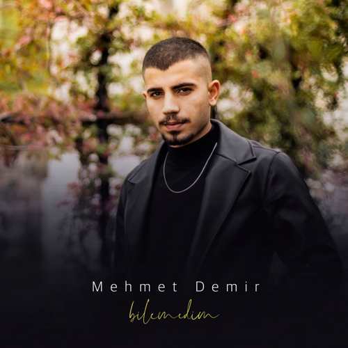 Mehmet Demir Yeni Bilemedim Şarkısını indir