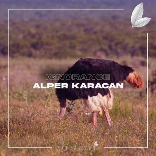Alper Karacan Yeni Ignorance Şarkısını İndir