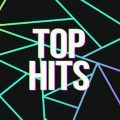 Çeşitli Sanatçılar - Top HitTürkçe Pop Müzik (Ocak 2022)