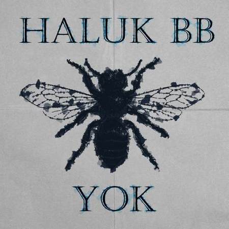 Haluk Bb - Yok