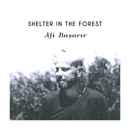Ali Başarır - Shelter In The Forest