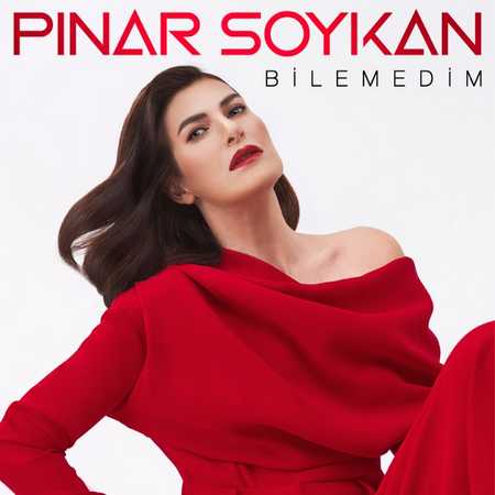 Pınar Soykan - Bilemedim
