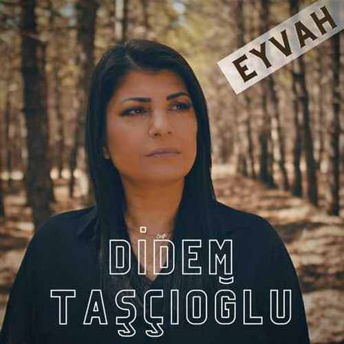 Didem Taşçıoğlu - Eyvah