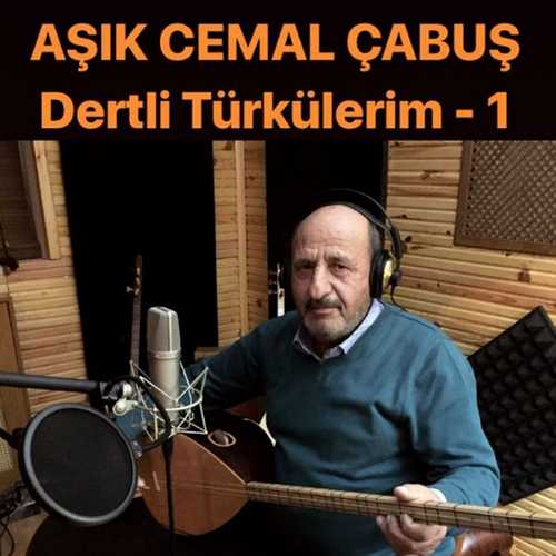 Aşık Cemal Çabuş - Dertli Türkülerim, Vol. 1