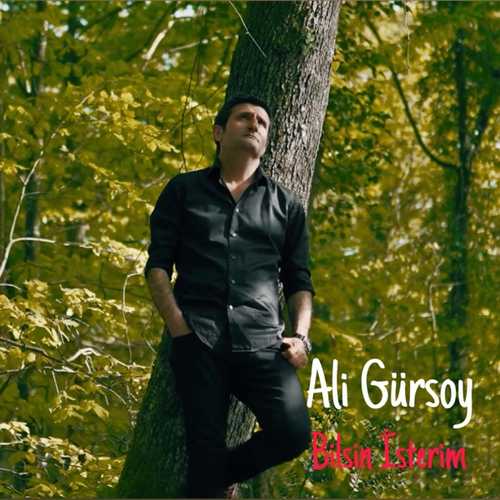 Ali Gürsoy - Bilsin İsterim