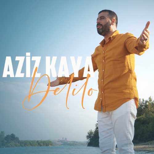 Aziz Kaya - Delilo (2022) Single Mp3 İndir 