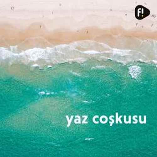 Çeşitli Sanatçılar - Yaz Coşkusu Müzikleri (fizy)(Temmuz 2022)