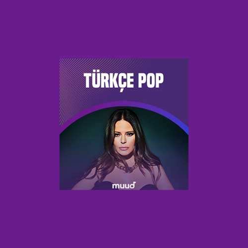 Çesitli Sanatçilar Yeni Türkçe Pop TOP Müzikleri (Ağustos 2022) Full Albüm İndir
