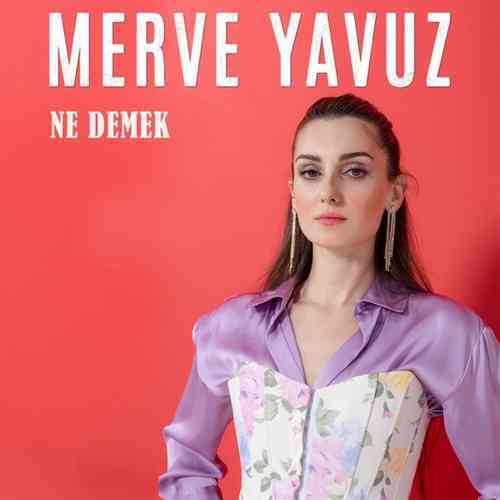 Merve Yavuz Yeni Ne Demek (Akustik) Şarkısını Mp3 İndir