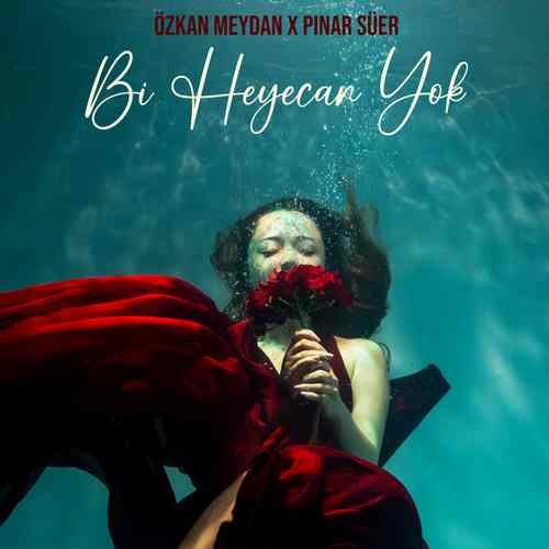 Pınar Süer Yeni Bi Heyecan Yok Şarkısını Mp3 İndir