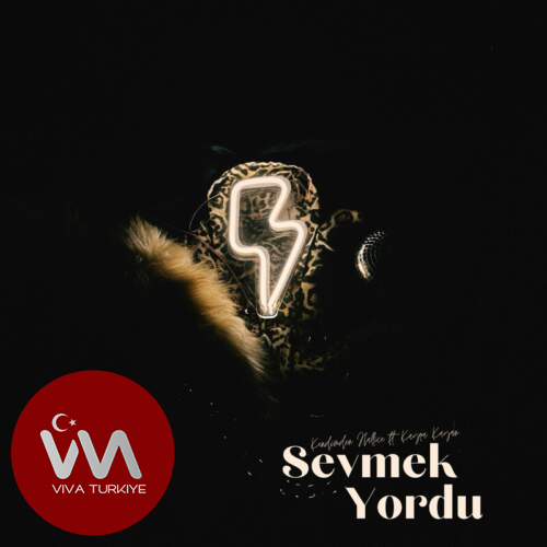 Kendimden Hallice, Kayra Kayan Sevmek Yordu mp3 İndir