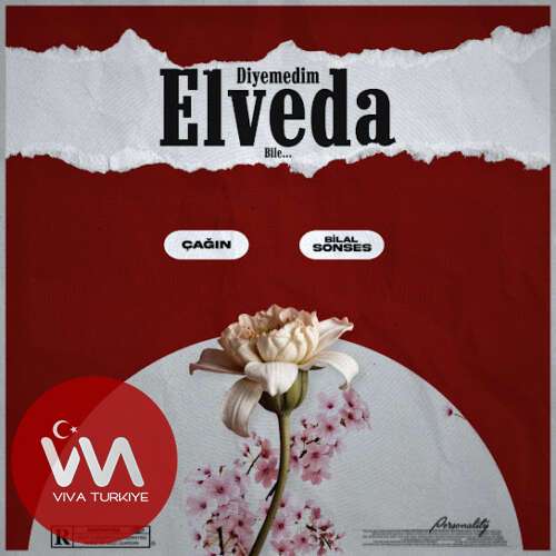 Bilal Sonses Diyemedim Elveda Bile mp3 İndir