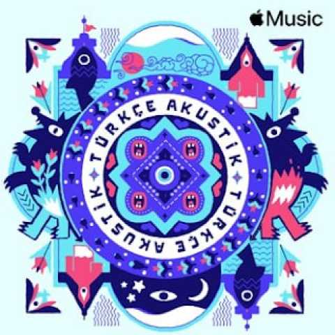 Çeşitli Sanatçılar Türkçe Akustik (itunes) (Hit Şarkıları – Müzikleri ) Nisan 2025 Full Albüm İndir