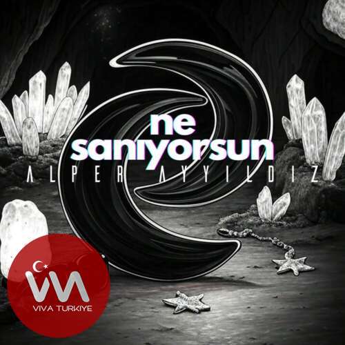 alper ayyildiz ne saniyorsun