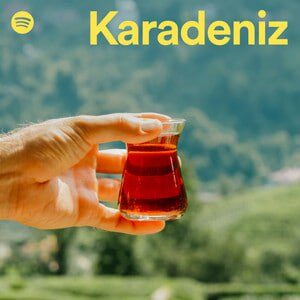Çeşitli Sanatçılar Yeni Karadeniz (spotify) 2025 Full Albüm İndir