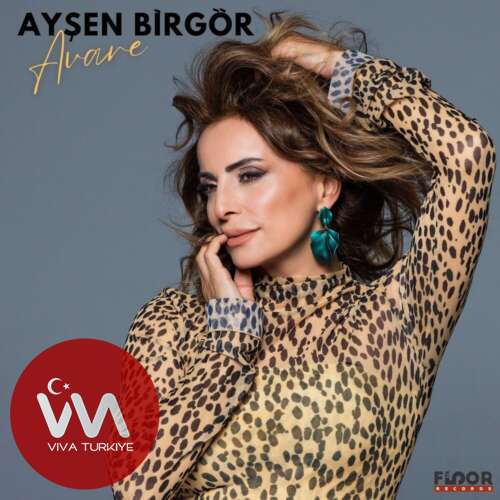 aysen birgor avare