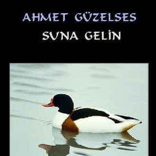 Ahmet Güzelses - Suna Gelin (1990) Full Albüm İndir